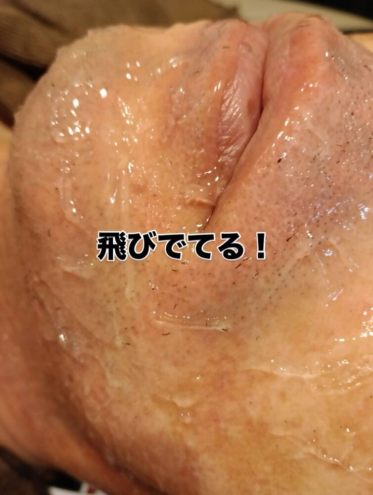 画像10528